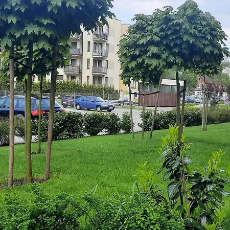 Paryska *